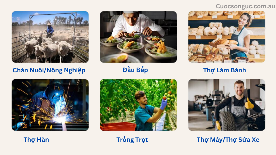 Visa Úc 482 doanh nghiệp bảo lãnh
